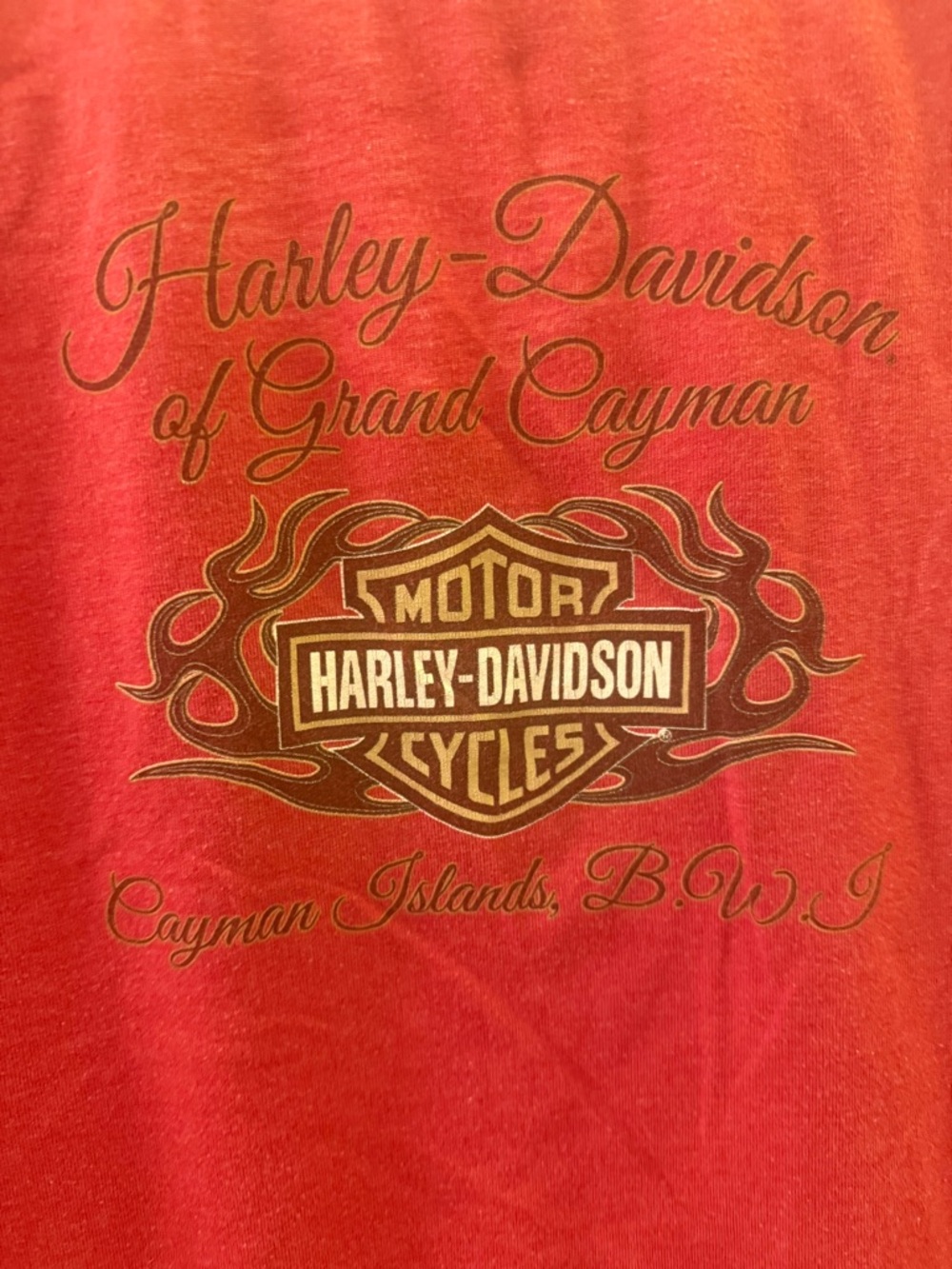 Harley-Davidson Red Short Sleeve Logo Tee with Gold Print - Picture 7 of 9